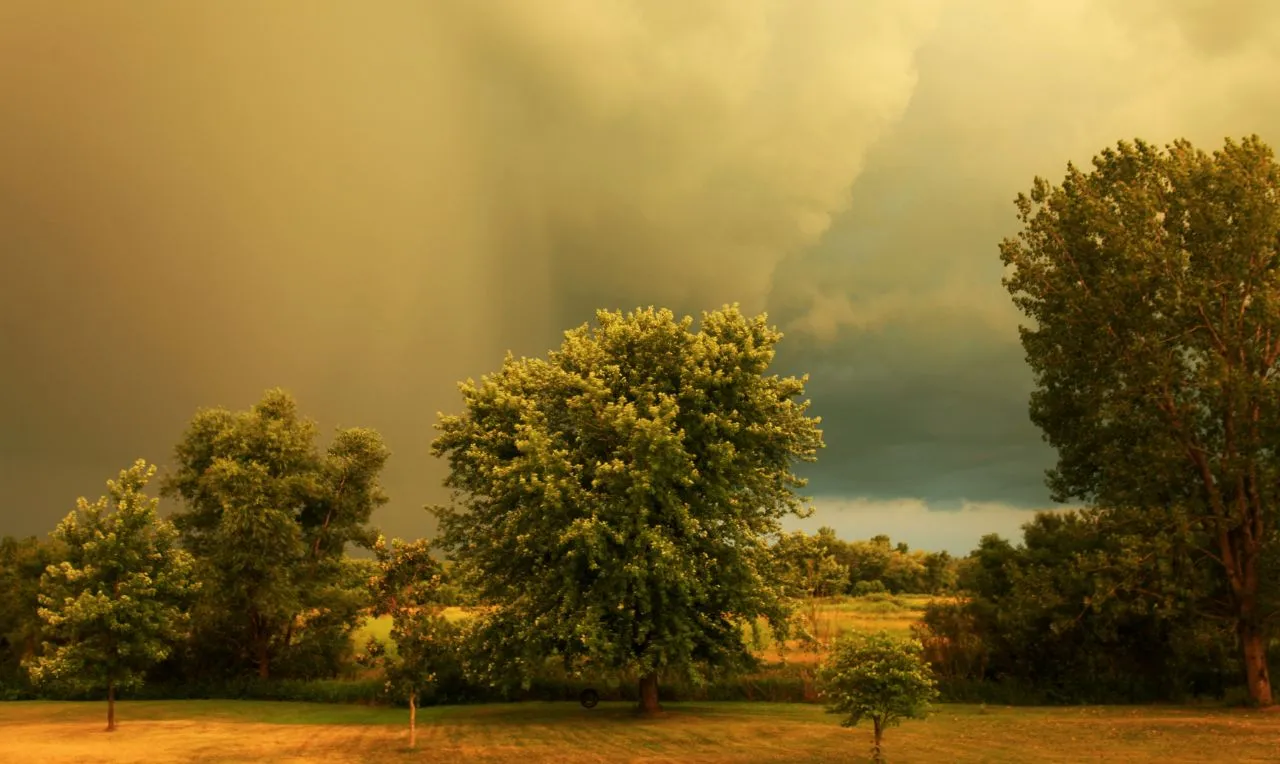 A imagem mostra o avan&ccedil;o de chuva em uma determinada &aacute;rea